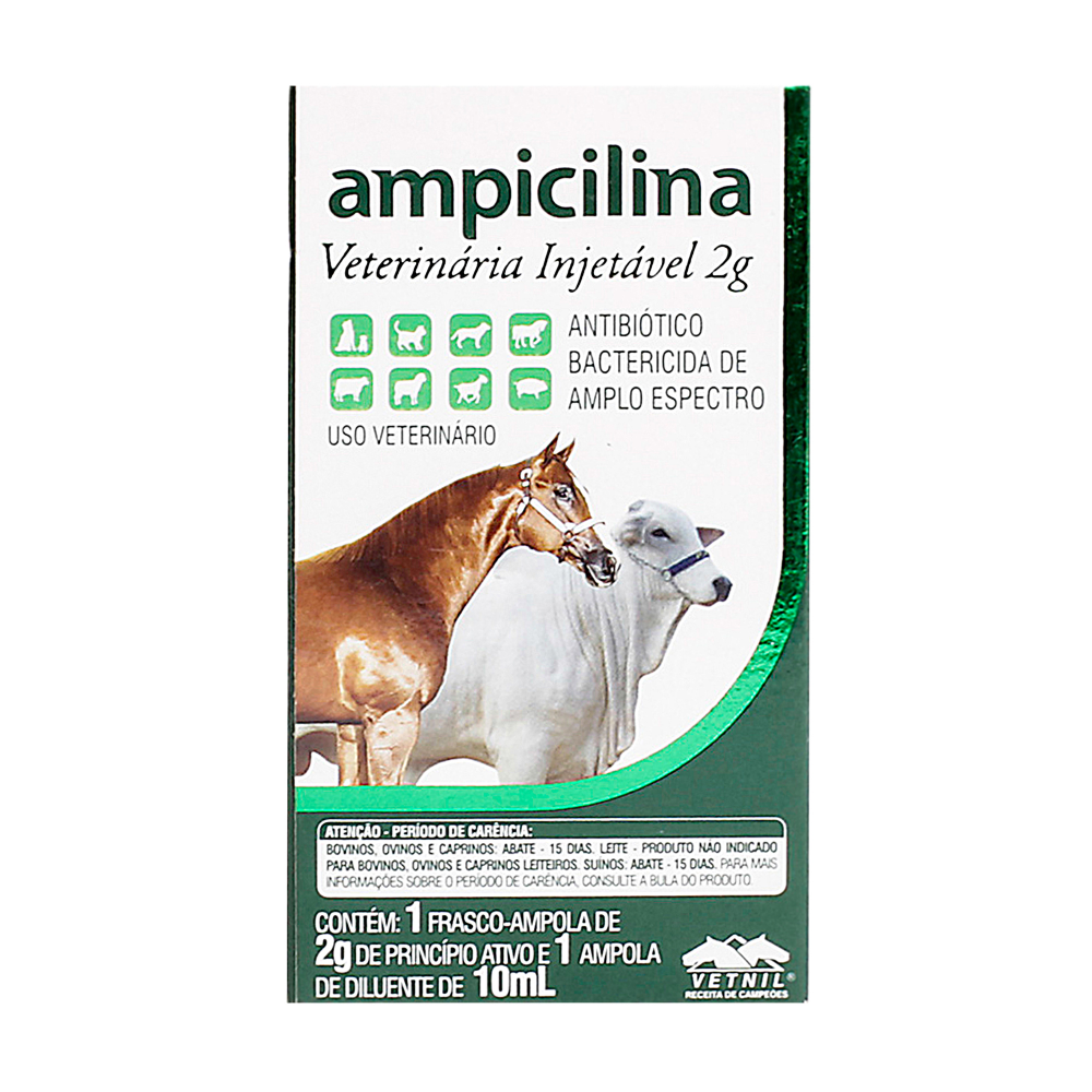 Ampicilina Veterinária Injetável 2G - 10ml